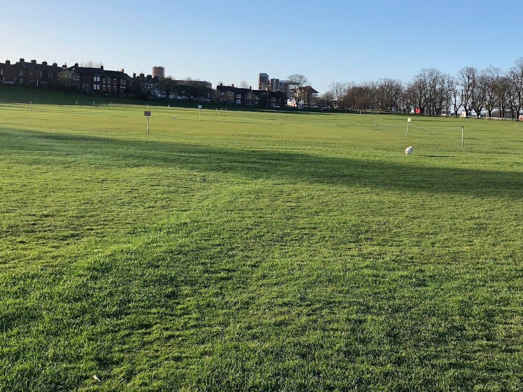 Little Knavesmire