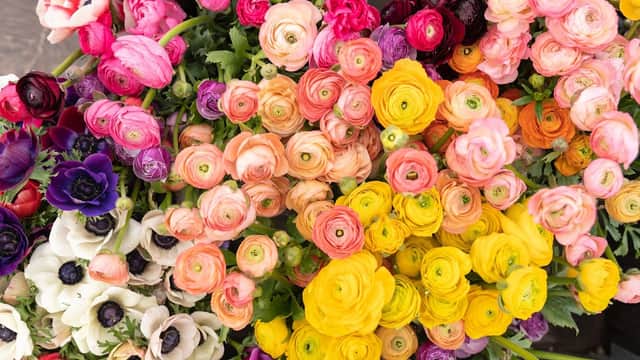 Meydan Flowers - Florists in darnall