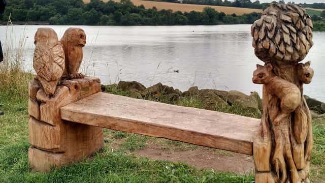 Carved wooden bench featuring owls and a squirrel, overlooking a reservoir with grassy banks and distant hills.
