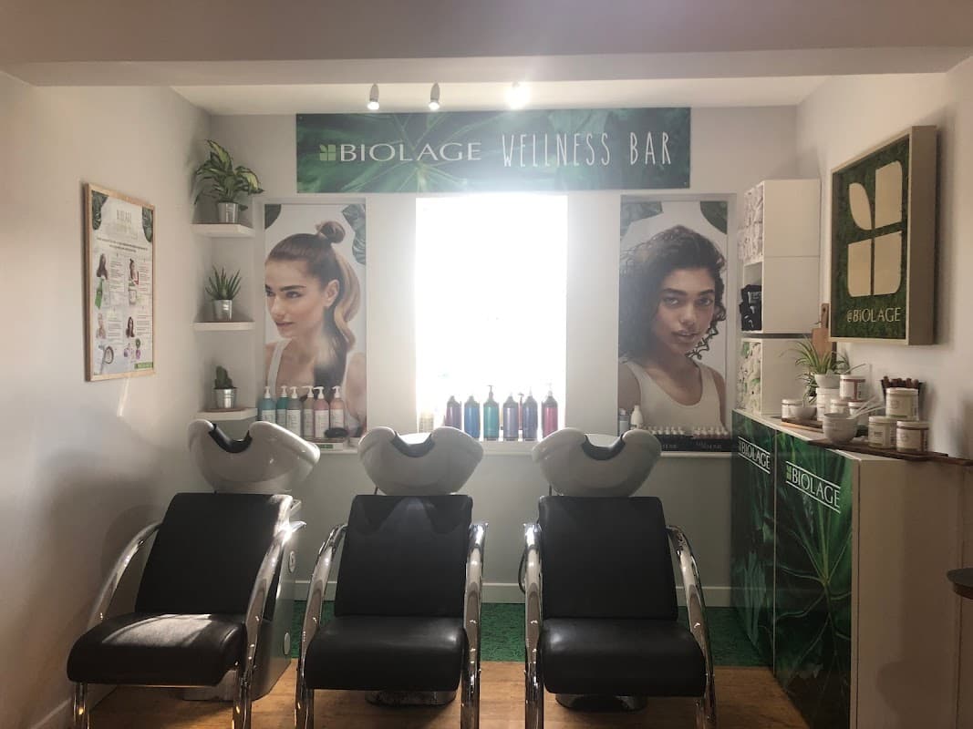 Salon 55