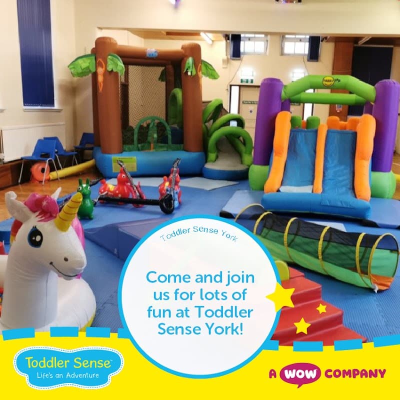 Toddler Sense York