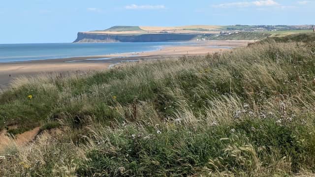 Coastal view with sandy beach, cliffs in the distance, and grassy foreground under a clear blue sky.
