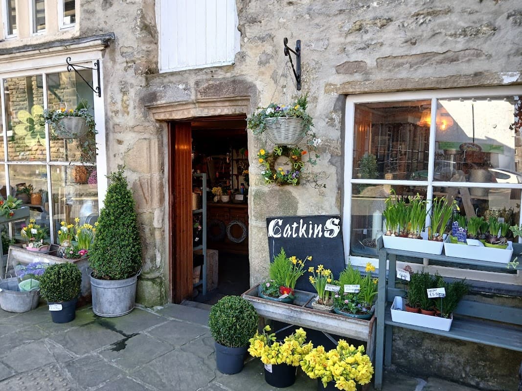 Catkins