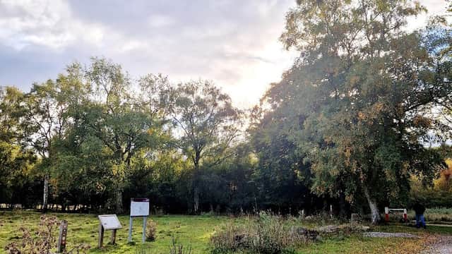 Car park surrounded by trees and grassy areas, with information boards and scattered fallen leaves.
