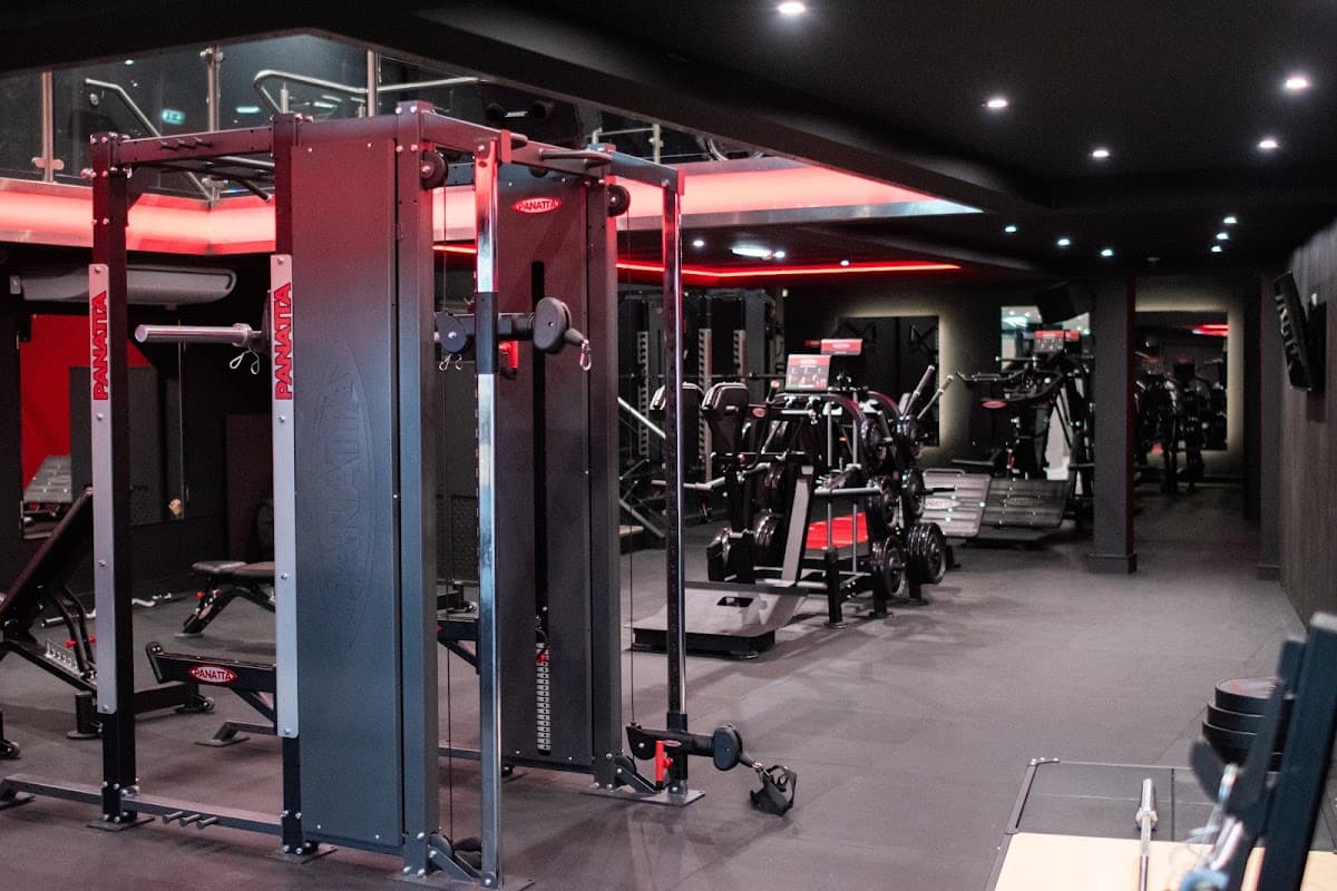 Level Gym
