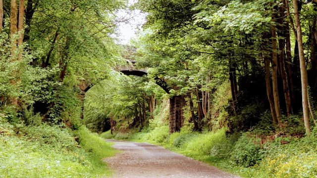 Lush green pathway flanked by trees, with stone arches visible in the background along the Trans Pennine Trail.