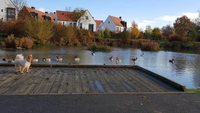 Derwenthorpe Childrens Park - Playgrounds in york