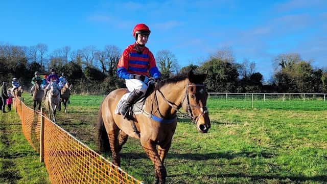 Jockey in red and blue silks riding a horse along a field with a bright blue sky and spectators in the background.