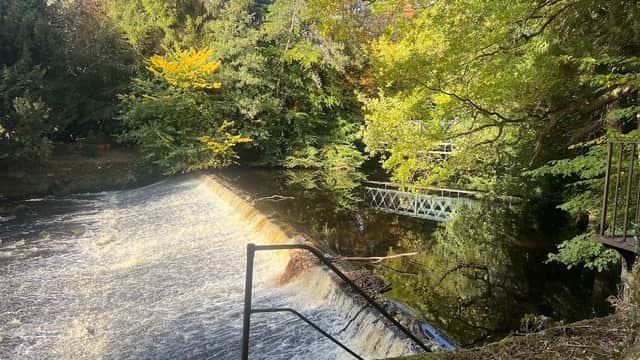 Tranquil scene of a waterfall flowing into a river, surrounded by lush greenery and autumn foliage.