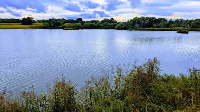 Serene lake surrounded by lush greenery under a cloudy sky at Bolton-on-Swale Nature Reserve.