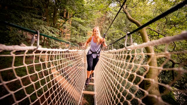 Child navigating treetop rope bridge in lush forest, with adults and other children in background, all wearing safety harnesses.