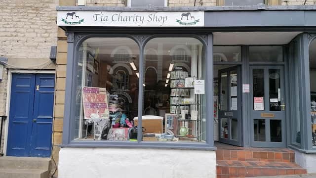 Tia Greyhound Rescue - Discount Stores in pickering