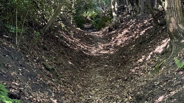 Magna Via • Ancient way - Historic Site in halifax