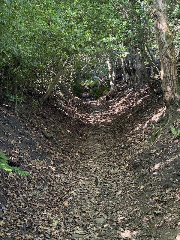 Magna Via • Ancient way