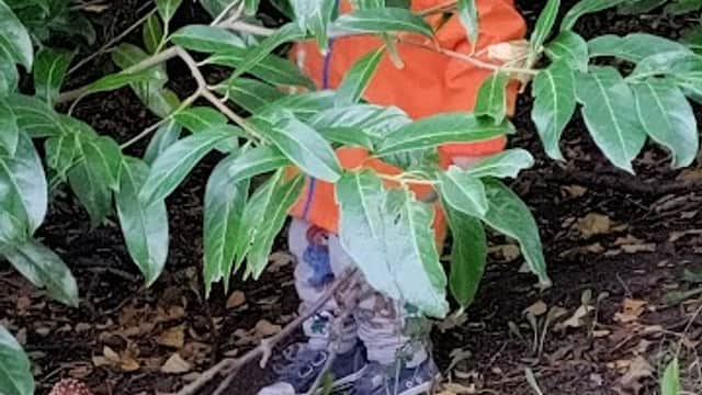 A child in an orange coat stands among lush green foliage in Luddendenfoot village park.