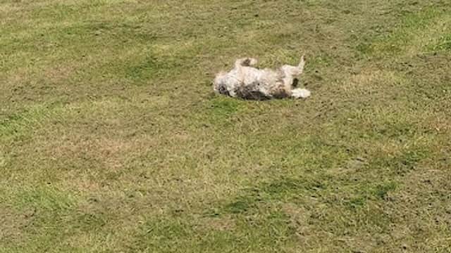 Cross Lane Open Space - Park in bolsterstone ewden village