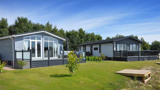 Two modern lodges with large windows on a grassy area, surrounded by trees under a clear blue sky.