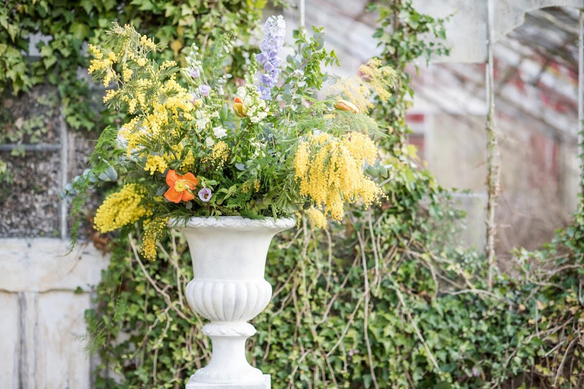 Basement Blooms Floral Design