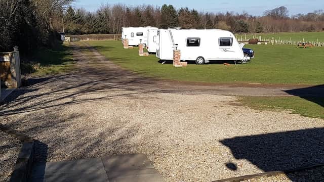 Caravans parked on a grassy area with trees in the background and a clear blue sky above.
