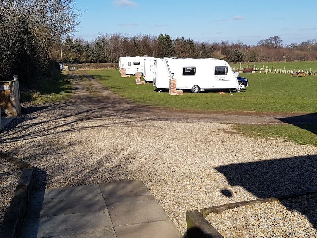 Caravans parked on a grassy area with trees in the background and a clear blue sky above.