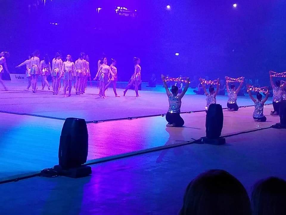 Goole Gymnastics Club