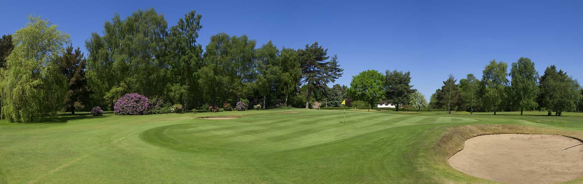 The York Golf Club