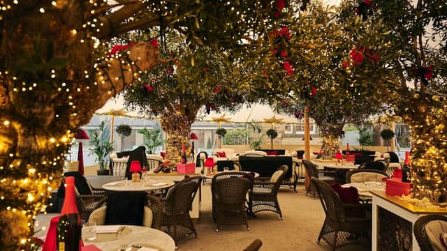 Cozy bar with olive trees adorned in lights, festive decor, and elegant seating in a warm, inviting atmosphere.