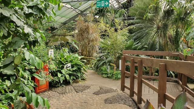 Manor Heath Jungle Experience - Attraction in halifax