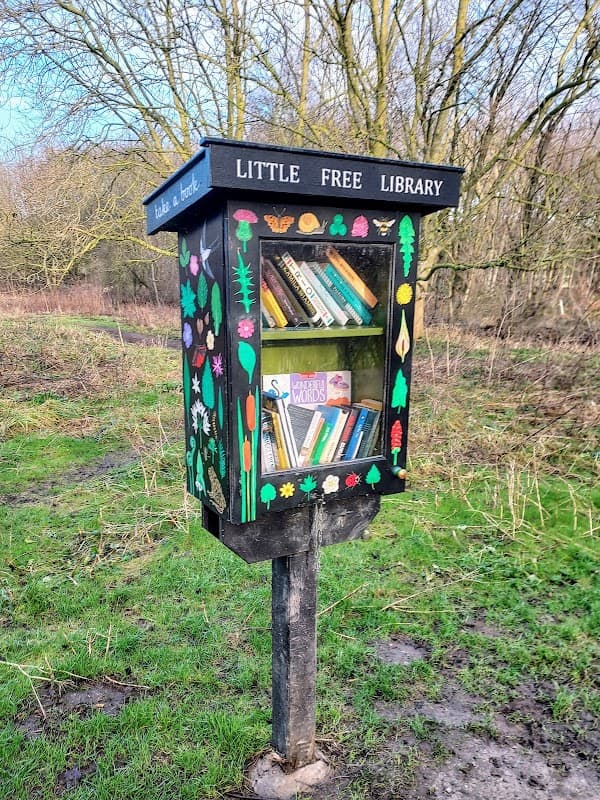 Little Free Library