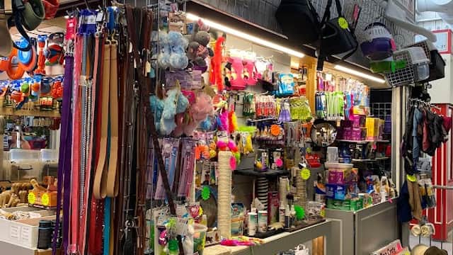 Colorful display of pet supplies including toys, leashes, and food containers at Just4Paws Ltd in Keighley, Yorkshire.