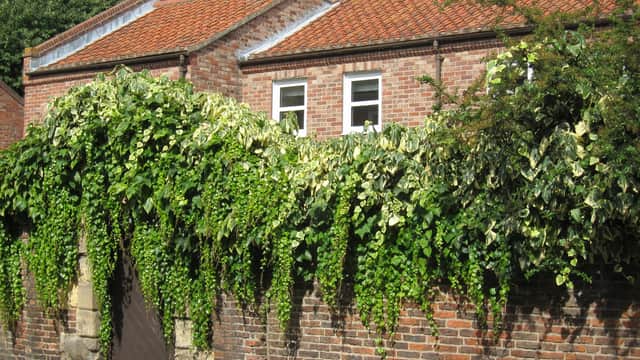 Accommodation at Lavender Cottage in york