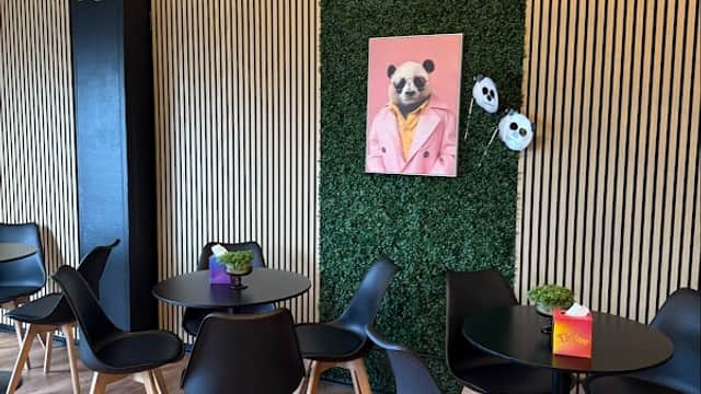 Dining at Sushi PANDA Harrogate in harrogate