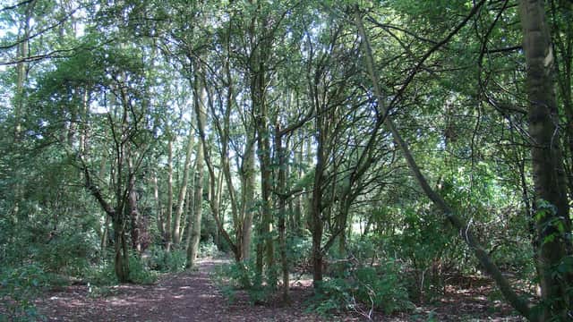 Anlaby Woods - Park in hessle