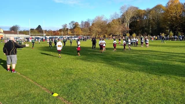 Children playing rugby on a grassy field, surrounded by trees and spectators in a sunny, clear sky.