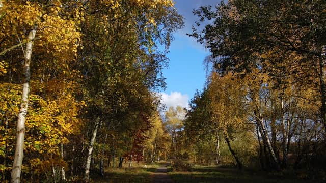 YWT Potteric Carr Nature Reserve - Nature Reserves in doncaster