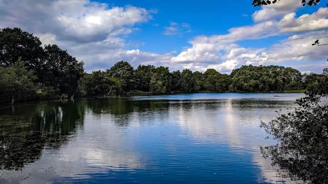 Serene pond reflecting clouds and trees under a bright blue sky, surrounded by lush greenery at Eastrington Ponds.