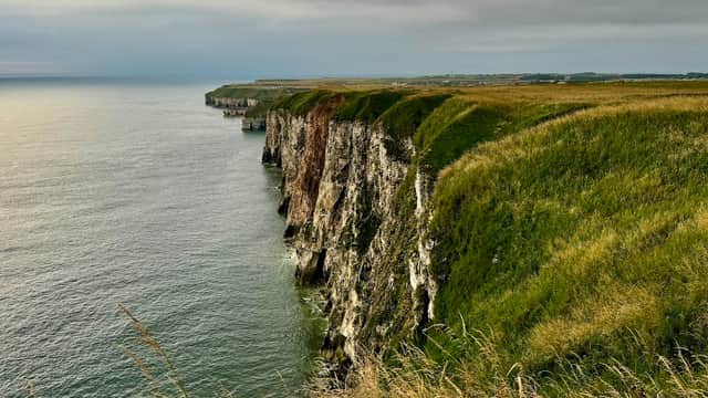 Cliffs overlooking the sea at Bempton, Yorkshire, with lush green grass and a cloudy sky.