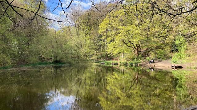 Gledholt Woods - TP Woods - Park in huddersfield
