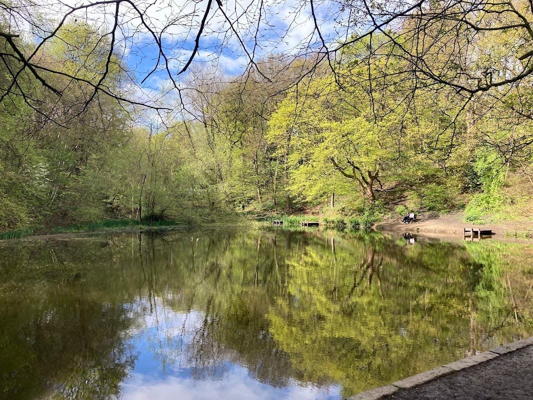Gledholt Woods - TP Woods