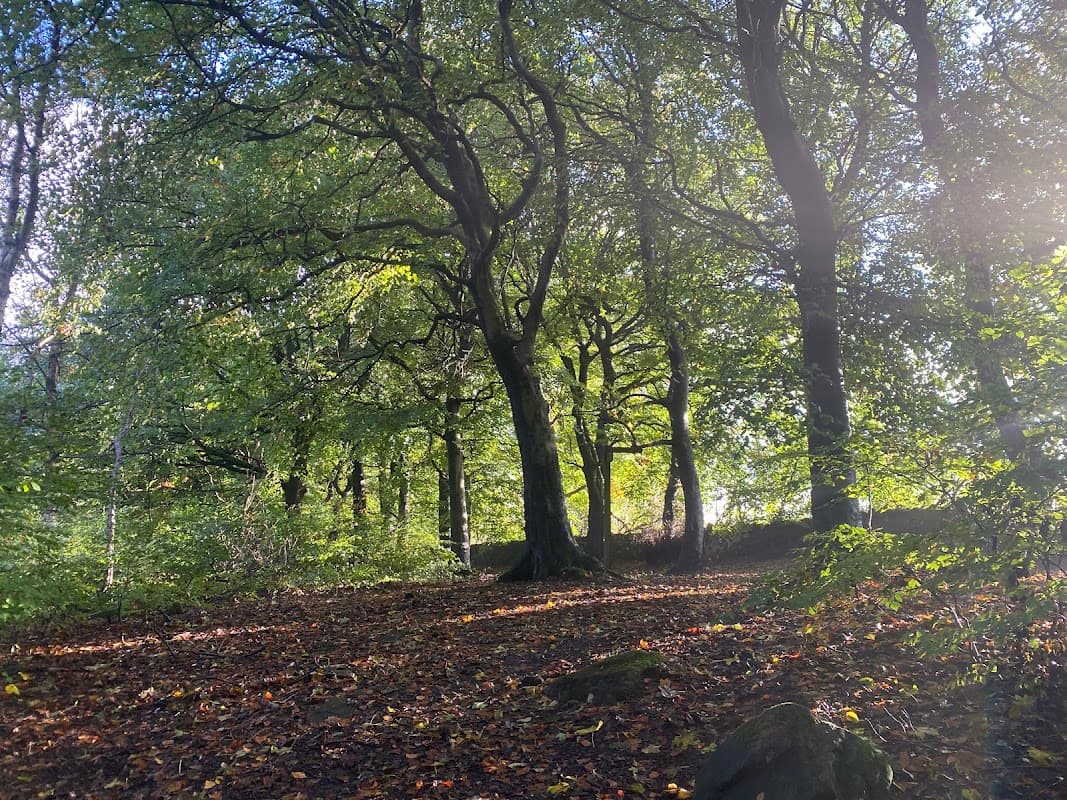 Park Wood