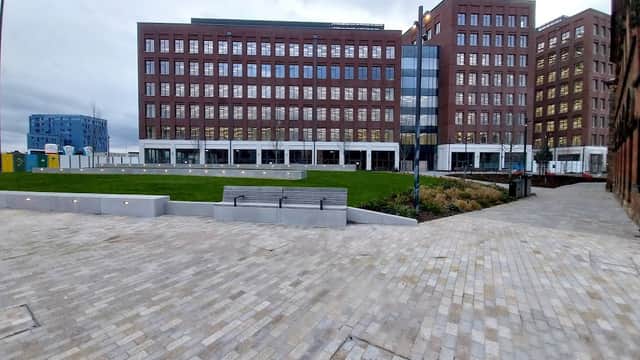 Leeds Dock Dog Park - Park in knowsthorpe