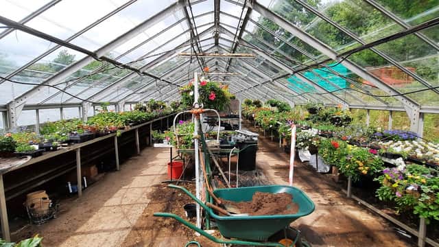 Greenhouse interior filled with various potted plants, hanging flowers, and gardening tools. Bright and spacious atmosphere.