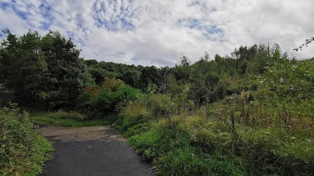 Lush greenery surrounds a winding path, under a cloudy sky in Manor Playing Fields, Yorkshire.