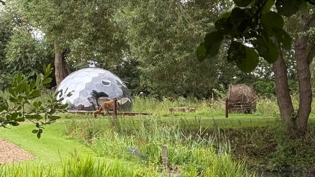 Acorn Glade Glamping York - Campsite in york