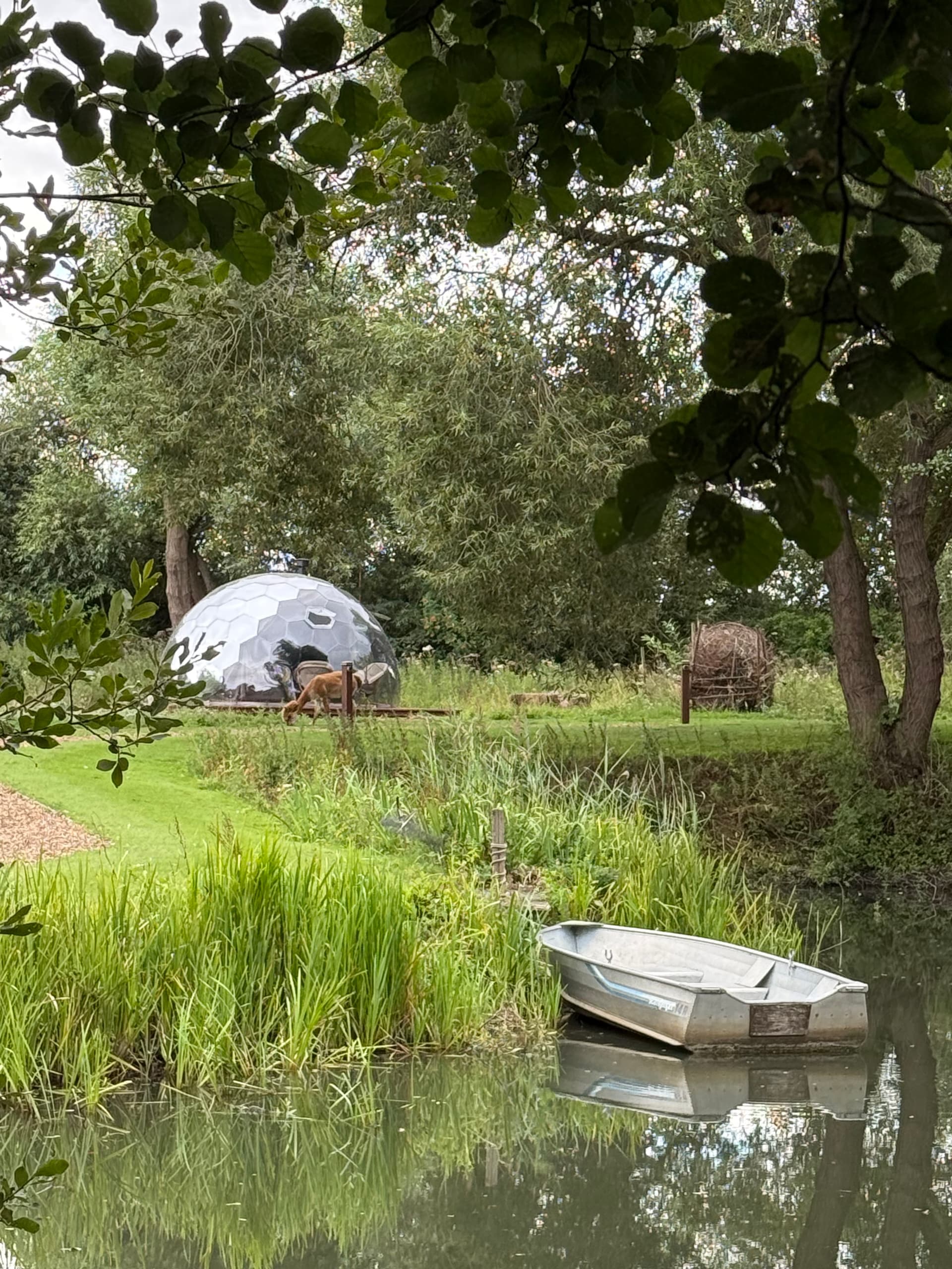 Acorn Glade Glamping York