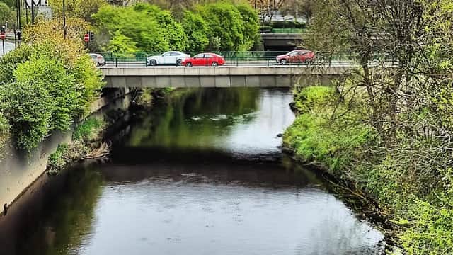 Green car park near a river, with lush greenery and vehicles on a road above, under a cloudy sky.