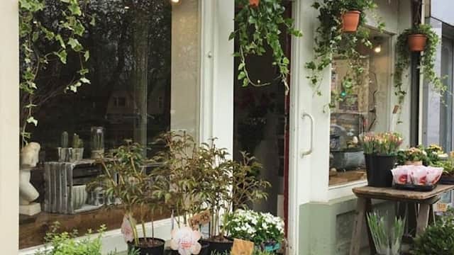 Sue Bradley Flowers - Florists in mirfield