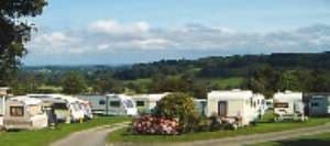 Black Swan Holiday Park