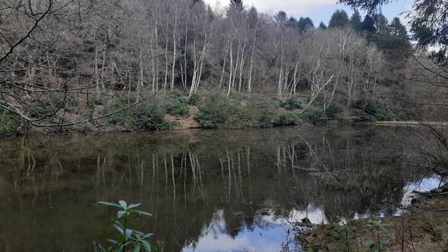 Serene lake reflecting trees and shrubs, surrounded by a wooded area at Yearsley Woods Car Park in Yorkshire.