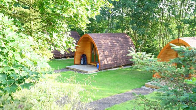 Wooden camping pods nestled in lush greenery at York House Caravan Park, surrounded by trees and well-maintained grass.